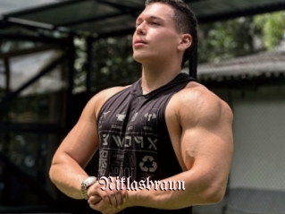 Niklasbraun