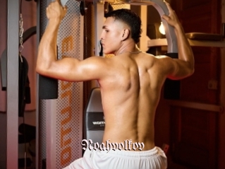 Noahvolkov