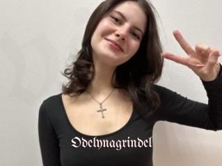 Odelynagrindel