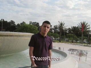 PeaceofLoves