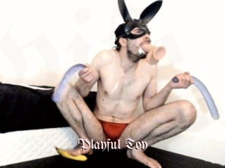 Playful_Toy