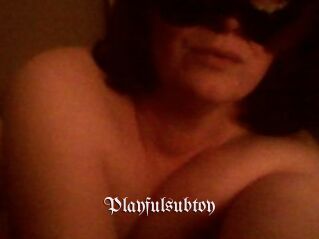Playfulsubtoy