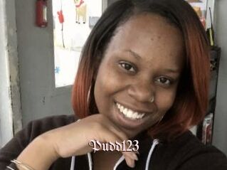 Pudd123