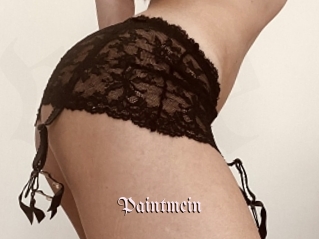 Paintmein