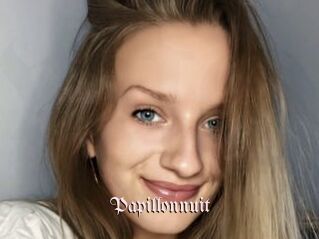 Papillonnuit