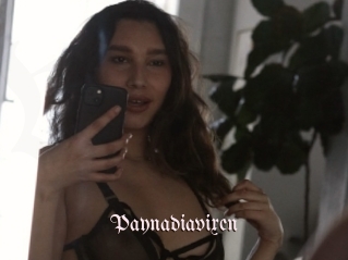 Paynadiavixen
