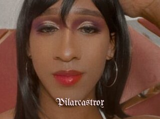 Pilarcastrox