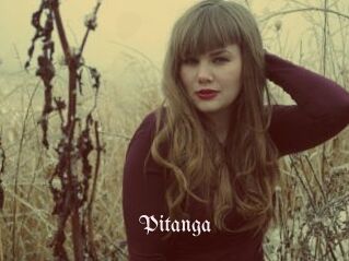 Pitanga