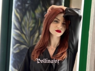 pollinafox Vidéos Fellations