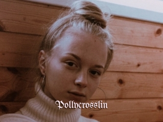 Pollycrosslin