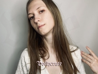 Pollycrute