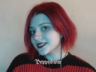 Poppyblom