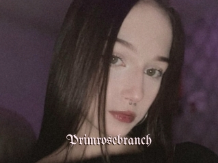 Primrosebranch
