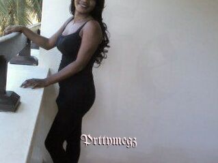 Prttymegz