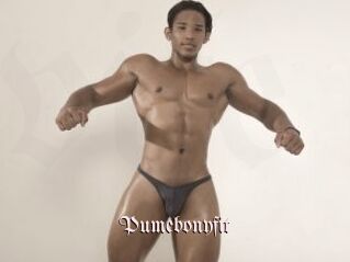 Pumebonyfit