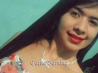 SaritaBurning