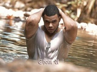 Shein_A