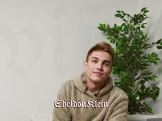 SheldonKlein