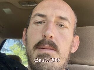 Snakec2018