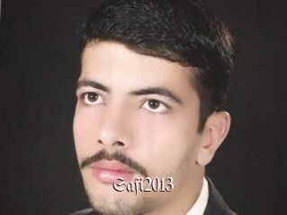 Safi2013