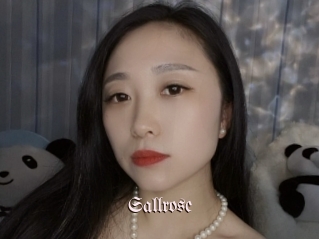 Sallrose
