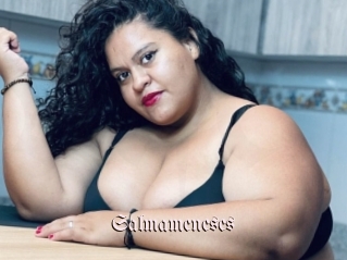 Salmameneses