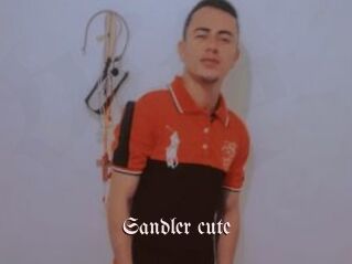 Sandler_cute