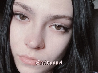 Saridunnel