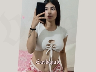Sashagate