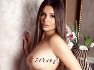 Selinangel