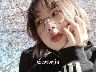 Seosoojin