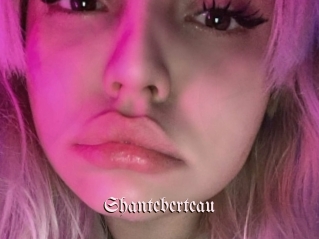 Shanteberteau