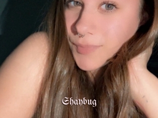 Shaybug