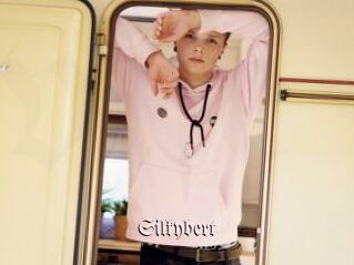 Silkybert
