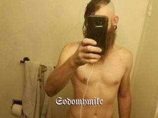 Sodomymike