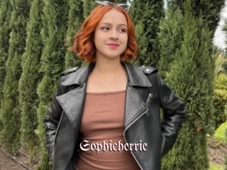 Sophicherrie