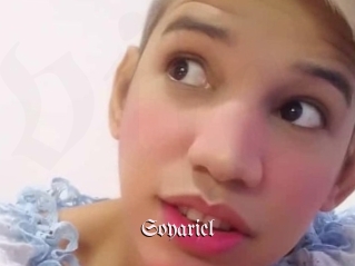 Soyariel