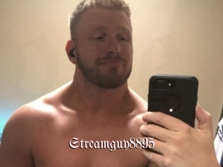 Streamguy8895