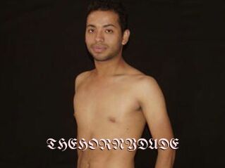 THEHORNYDUDE