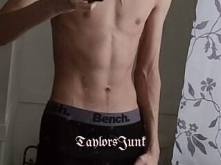 TaylorsJunk
