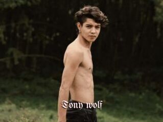 Tony_wolf