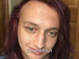 Transbitch18