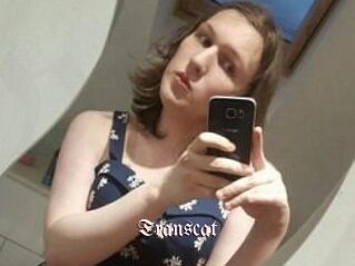 Transcat