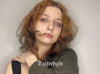 Taiteedgin