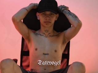 Tatevogel