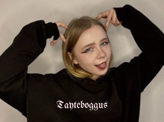 Tayteboggus