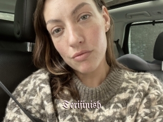 Terifinish