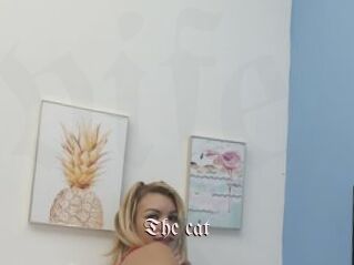 The_cat