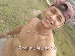 The_little_bruette_228