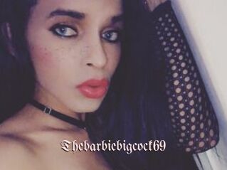 Thebarbiebigcock69